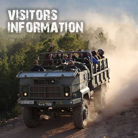 Información Visitantes